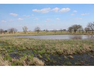 Tract 16 - LAND & MINERAL ACRES OKLAHOMA AUCTION, 588+/- Land & Producing Mineral Acres offered in 24 Tracts in Okmulgee County